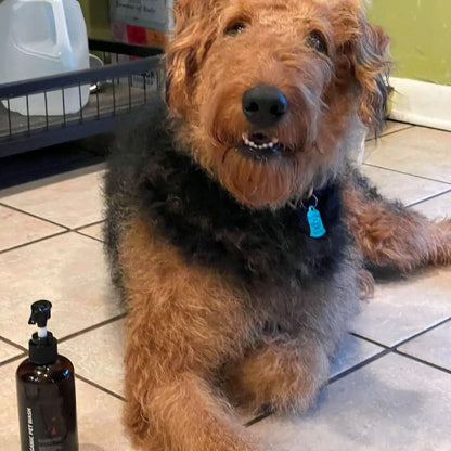 Boojee Poochee Natural Deodorizing Pet Care Kit (Pet Wash and Paw Balm) Natutally Antimicrobial and Sulfate-Free