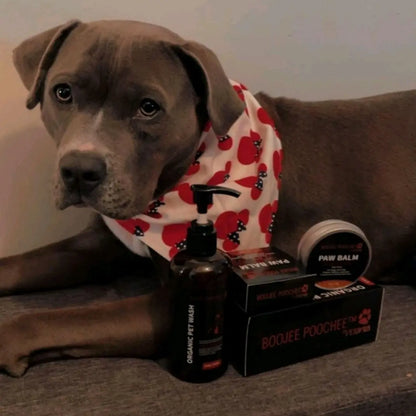 Boojee Poochee Natural Deodorizing Pet Care Kit (Pet Wash and Paw Balm) Natutally Antimicrobial and Sulfate-Free