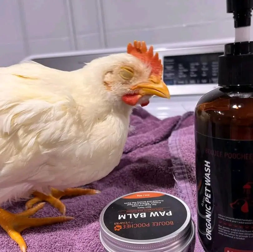 Boojee Poochee Natural Deodorizing Pet Care Kit (Pet Wash and Paw Balm) Natutally Antimicrobial and Sulfate-Free